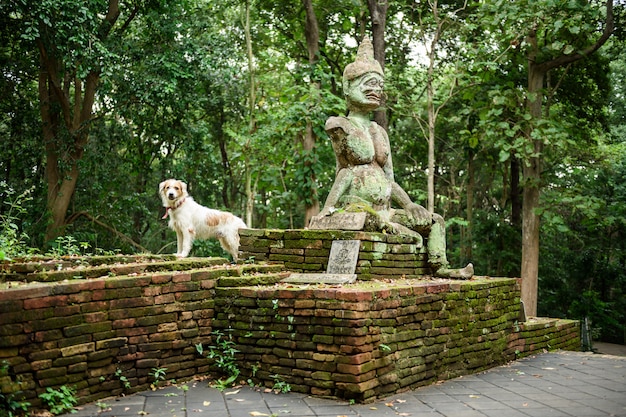 Umong Temple (Wat Umong), ancient religious staue, Chiang mai, Thailand