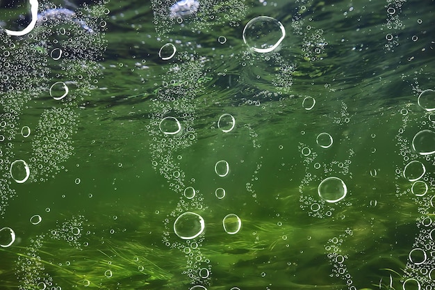 underwater fresh water green background with sun rays under, water