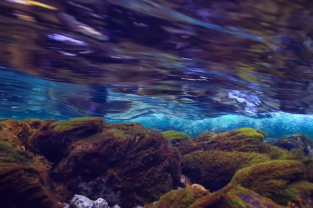 underwater fresh water landscape, mountain lake ecosystem background in summer, under water view