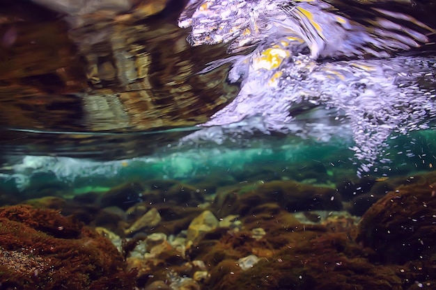 underwater fresh water landscape, mountain lake ecosystem background in summer, under water view