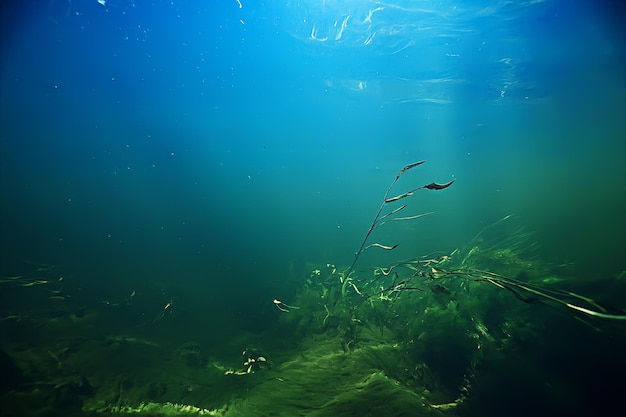 underwater freshwater green landscape / underwater landscape of the lake ecosystem, algae, green water, fresh water