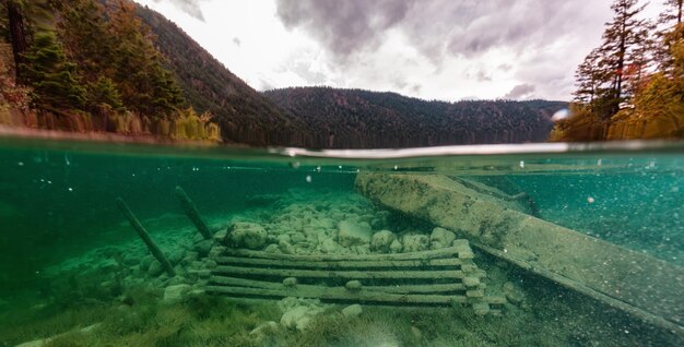 Underwater scene in a lake british columbia canada