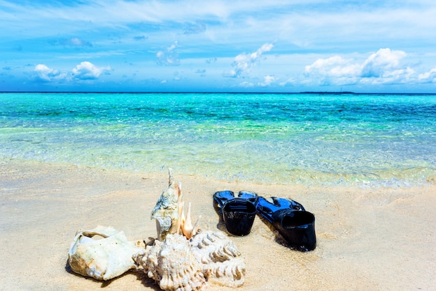 Underwater shells and flippers on the sand on the shore of the Indian Ocean