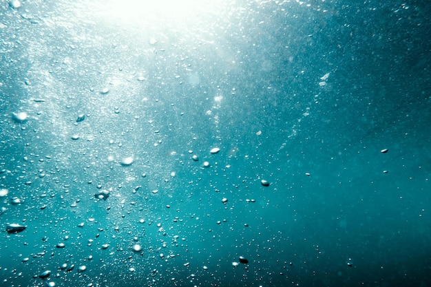 Underwater View of Bubbles in a Blue Background Close Up Water Background