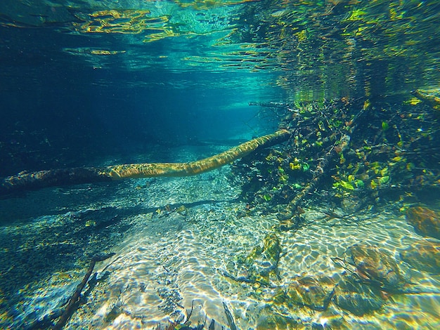 Underwater view