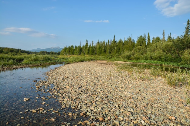 UNESCO World Heritage Site Virgin Komi Forests