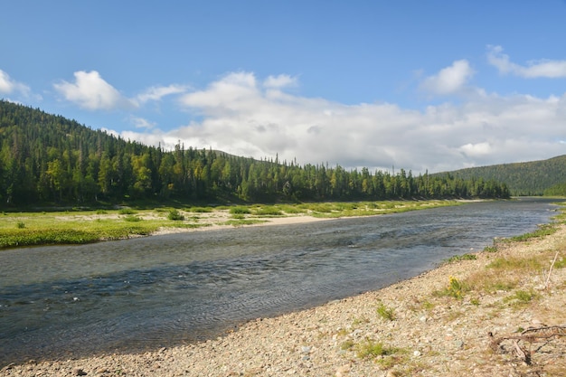 UNESCO World Heritage Site Virgin Komi Forests