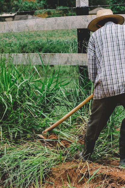 Unidentifiable farm worker cutting weeds with a hoe in a farm