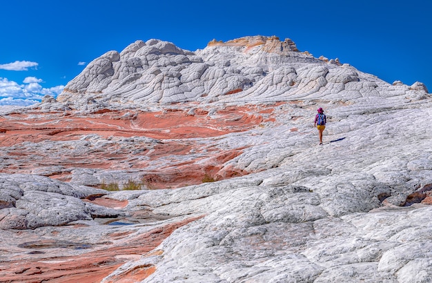 Unique formation of Stone, White Pocket Arizona