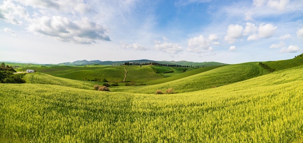 Unique green landscape in Volterra Valley Tuscany Italy Scenic dramatic sky and sunset light over cultivated hill range and cereal crop fields Toscana Italia