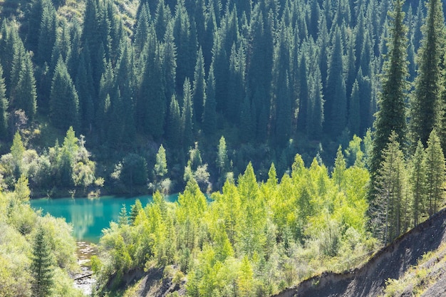 unique mountain lake of Kaindy in Kazakhstan with a sunken forest