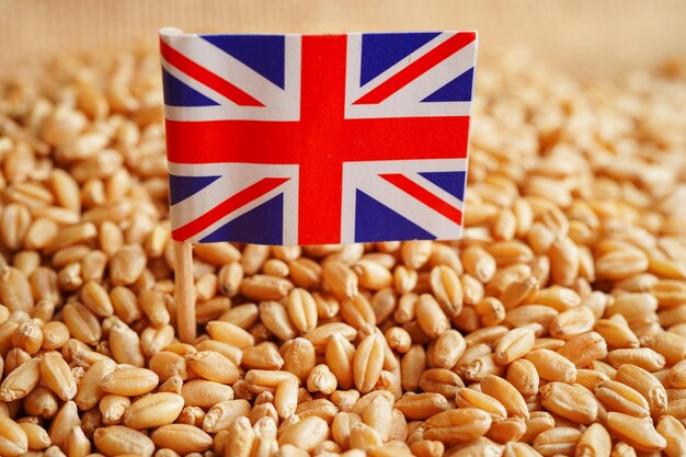 United Kingdom on grain wheat trade export and economy conceptxA