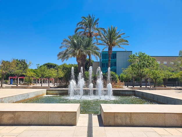 Universidad de Alicante - fuente