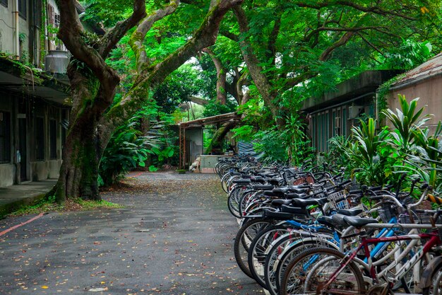 University campus bicycle parking lot bicycle