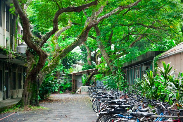 University campus bicycle parking lot bicycle