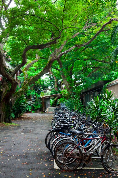 University campus bicycle parking lot bicycle