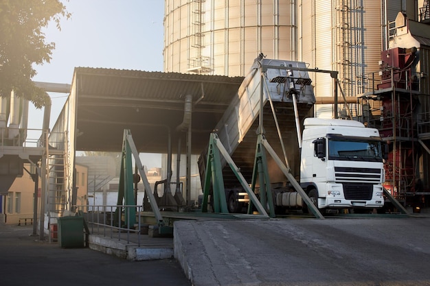 Unloading grain truck at elevator on elevating platform Crops transshipment on terminal at seaport