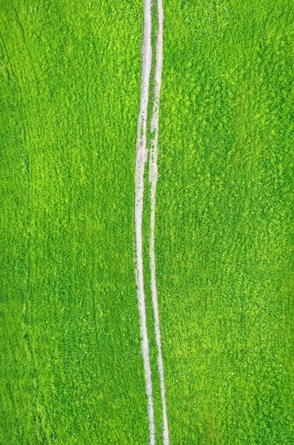 Unpaved countryside road across green field drone view directly above