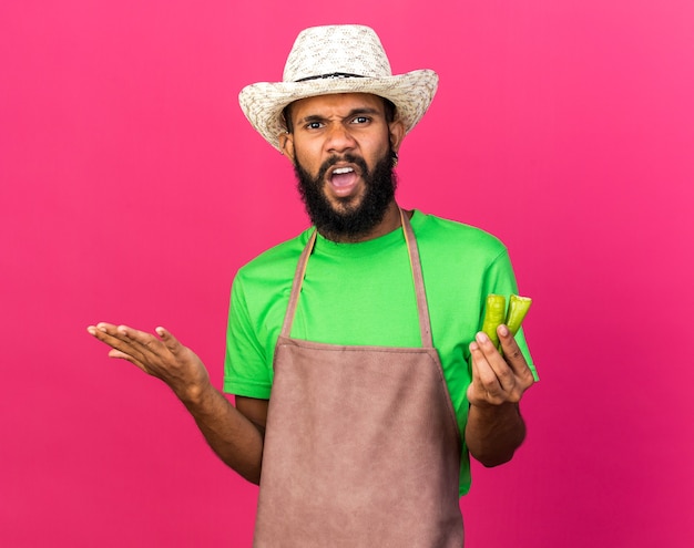 Unpleased young gardener afro-american guy wearing gardening hat holding broke pepper isolated on pink wall