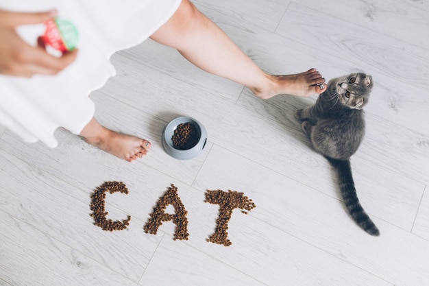 Unrecognizable owner playing with cat