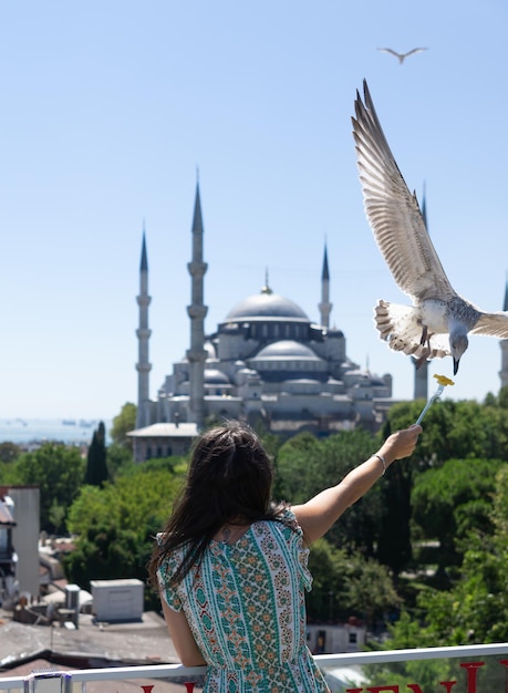 Unrecognizable woman feeding seagulls with the Blue Mosque in Istanbul in the background