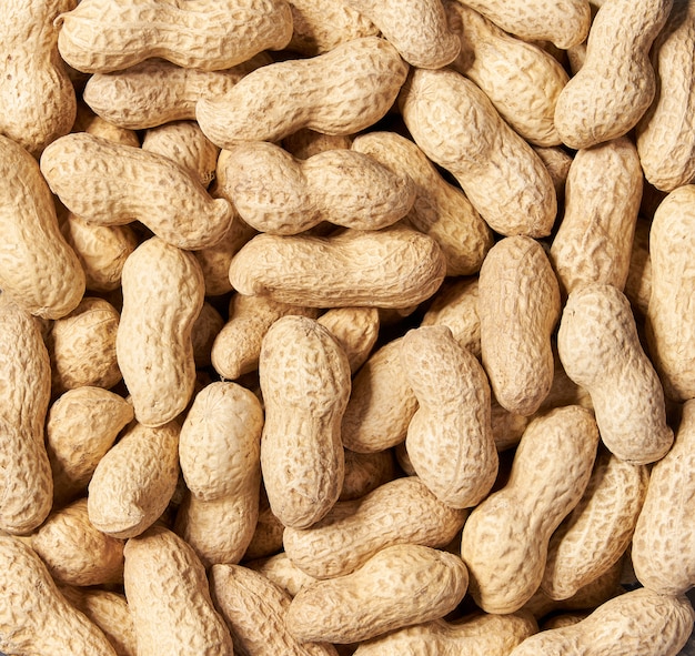 Unshelled peanut close-up, top view. 