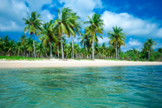 Untouched tropical beach in Sri Lanka