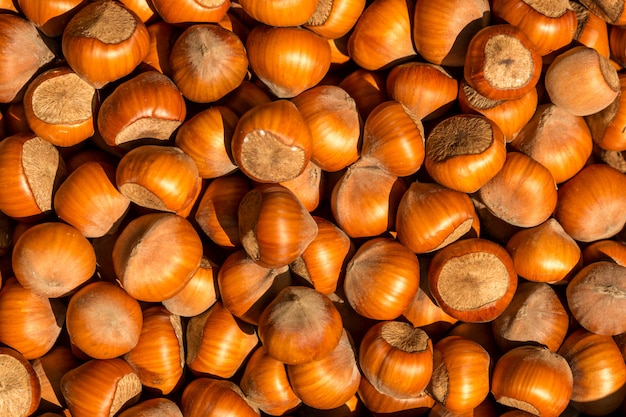 Untreated hazelnut beautiful background view from the top.