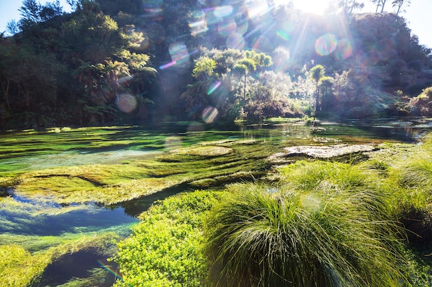 Unusual blue spring in New Zealand. Beautiful natural landscapes