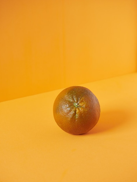 Unusual brown orange fruit variety Navel Chocolate orange citrus sinensis One whole isolated piece on orange background