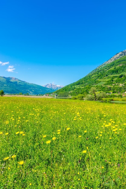 Unusual lake Plav among the picturesque mountain peaks of Montenegro