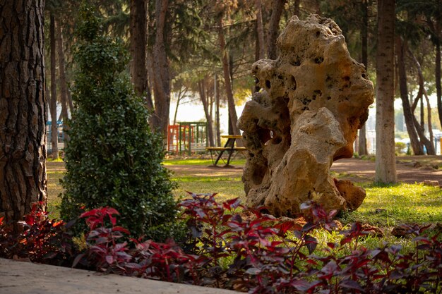 An unusual stone for the decoration of the park alley