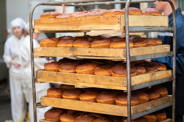 Upright lots of bread on pallets Industrial production of bread