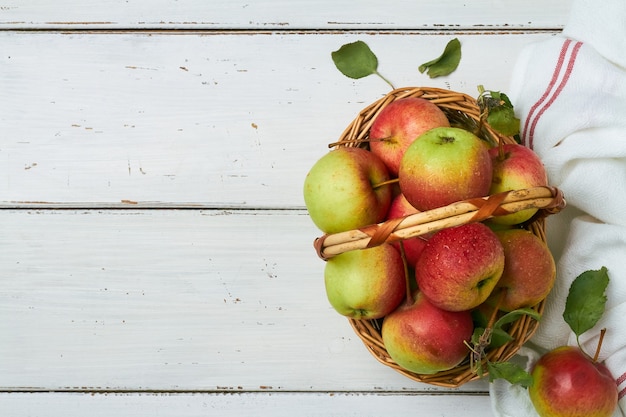 Urals autumn tasty garden apples