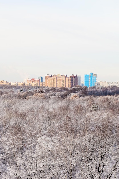 Urban houses and snow woods in winte