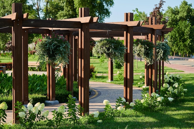 Urban landscaping with perennial plants in landscape design stone paths among greenery a park for guests and residents on a sunny summer day