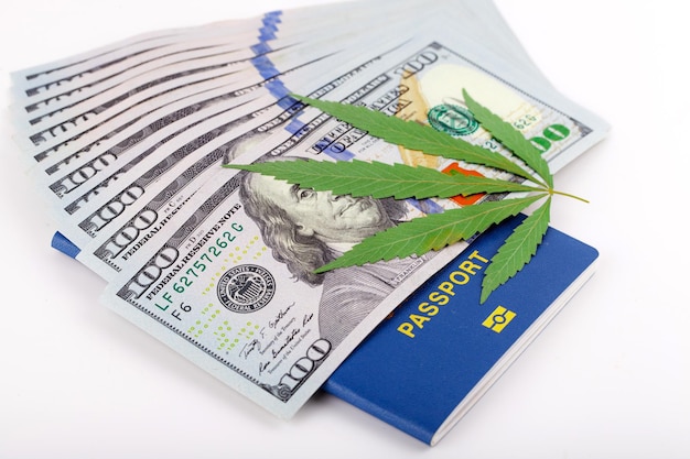 US dollar bills over the green cannabis leaves. Money and marijuana. Concept of business, medicine.Cannabis on dollar background. Cover of biometric passport