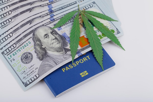 US dollar bills over the green cannabis leaves. Money and marijuana. Concept of business, medicine.Cannabis on dollar background. Cover of biometric passport