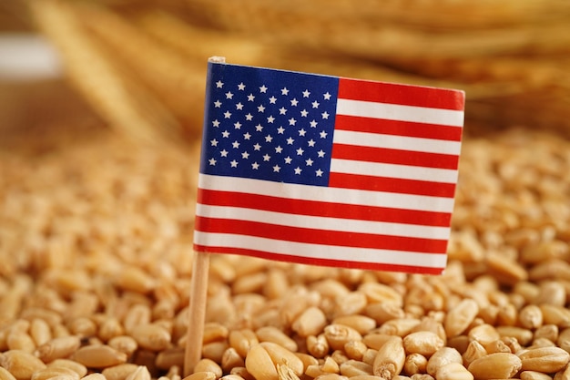 USA America flag on grain wheat trade export and economy concept