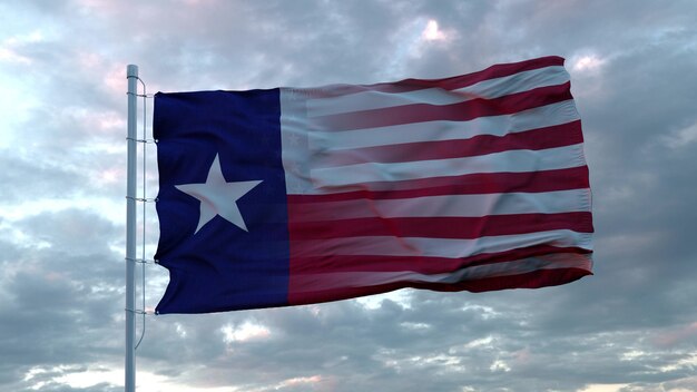 USA and Texas Mixed Flag waving in wind