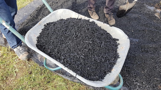 use of biochar in the vegetable garden biochar for plants in a wheelbarrow use biochar in plants