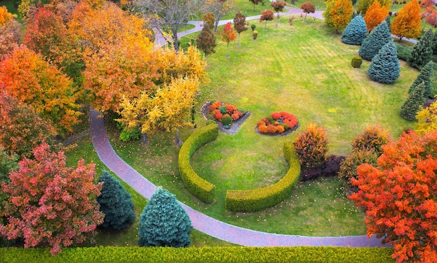 The use of evergreen plants in landscaping. Thuja, boxwood and ornamental plants near the path in the park.