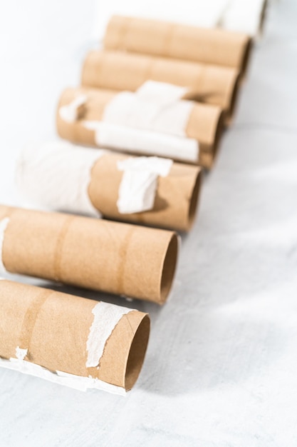 Used empty toilet paper rolls on a gray background.