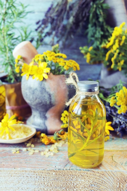 Useful plants oils and tinctures lavender flowers and rosemary in a pot