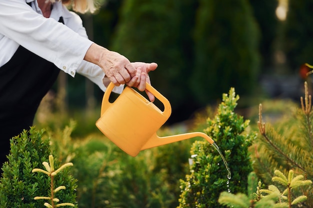 Photo using yellow colored watering can senior woman is in the garden at daytime conception of plants and seasons