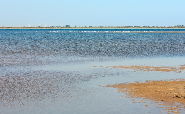 Ustrychne lake Lazurne Kherson Region Ukraine