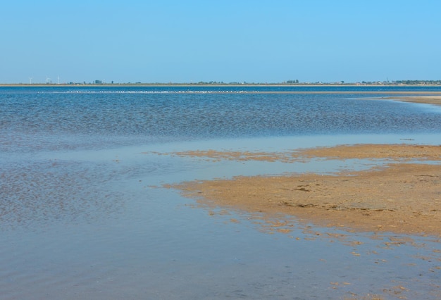 Ustrychne lake Lazurne Kherson Region Ukraine