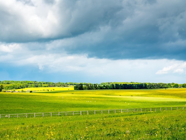 Usual view of rural field and cloudy sky in England near Stonehenge Salisbury