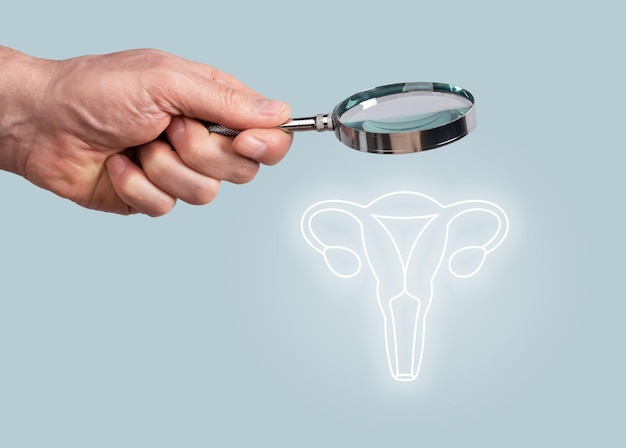 Uterus womb health Female reproductive system check up medical checkup research concept