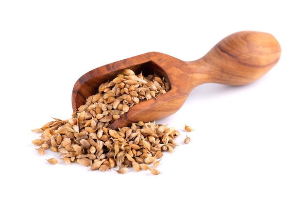 Utsho suneli seeds in wooden scoop isolated on white background Trigonella caerulea or blue fenugreek Top view